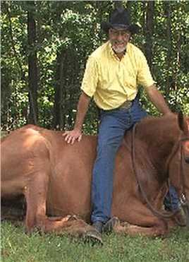 似是故人来Marshall #2