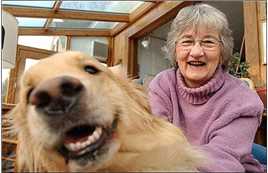 仙境之桥凯塞琳·帕特森