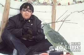 深入敌后Miroslav Lokar