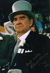 城市游戏罗伯特·布朗