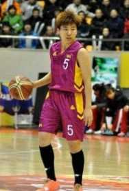 田野又是青纱帐司马聪