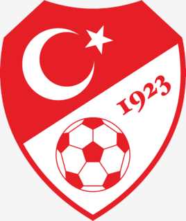 土耳其国家男子足球队