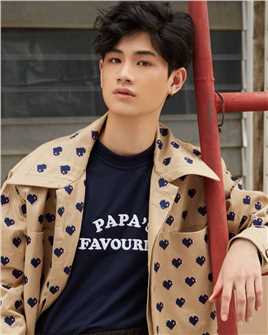 荷尔蒙第三季Phao