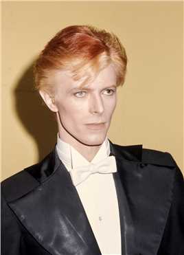 超级名模David Bowie