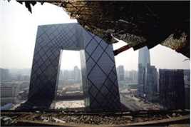 绝密使命周老虎