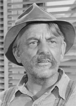 赌侠马华力 Old Gambler on Riverboat