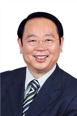 说谎的丈夫林仆