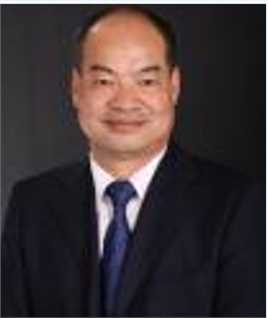 穿越烽火线小树