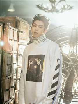 第三人称复仇金有真