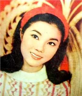 三国春秋何皇后