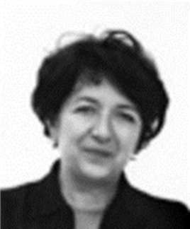 瓦尔特保卫萨拉热窝阿兹拉·卡佩塔诺维奇