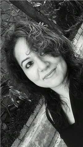 厕所英雄维迪亚