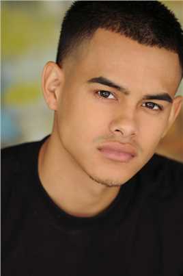 结束，开始Terrence