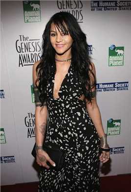 幻影英雄他自己