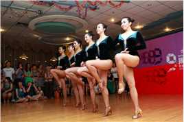 视觉侦探日暮旅人流浪狗收容所工作人员