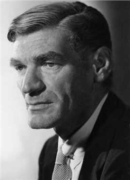 原野奇侠Morgan Ryker