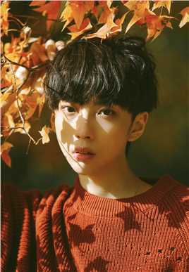 彗星来的那一夜2花花