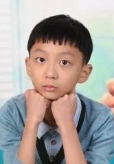 半城明媚半城雨幼年柳莫宠