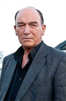 红字Brewster Stonehall