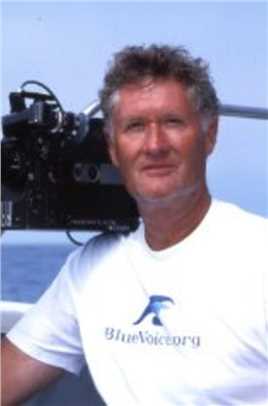 海豚湾哈迪·琼斯