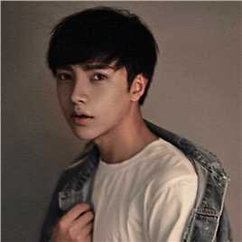 闪灵特工队陈洛