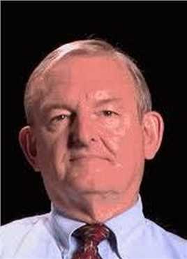 甘地传约翰·布里利