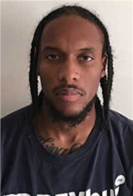 哈丽特联邦士兵