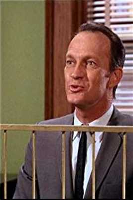 至尊神探Radio Announcer (voice)