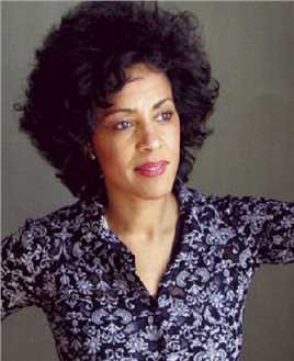 杀手十三Journaliste Arlington