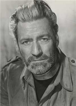 劫后英雄传约翰王子