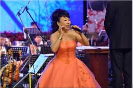 任我遨游陈淑霞