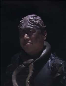 少林寺之大漠英豪马上飞