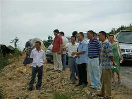 天使的城少年关莎莎