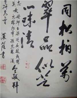 疯狂的外星人林文森