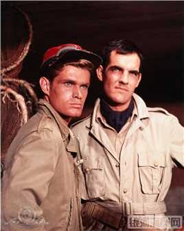 龙之家族总主教