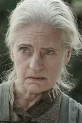 复仇之溪Mrs. Wollner