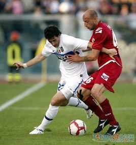 克内热维奇基本信息