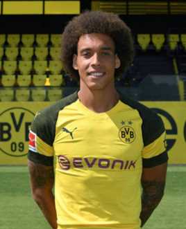 埃克塞尔·维特塞尔基本信息