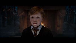 哈利·波特与火焰杯奈杰尔