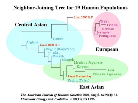 王沥论文中的《19大种族近亲关系树表》