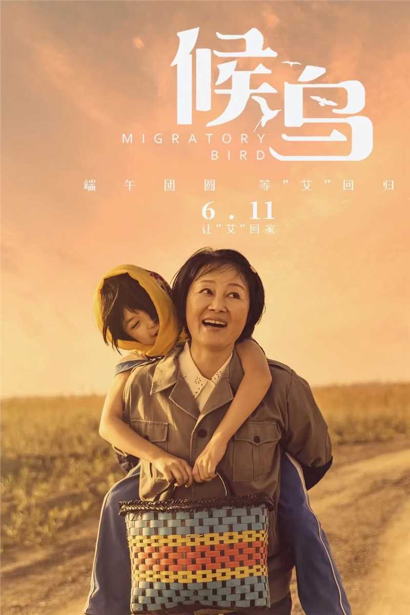 郑现太导演 电影《候鸟》海报