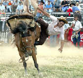 乌拉圭牛仔在驯马比赛中