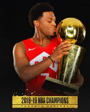 2018-19赛季NBA总冠军