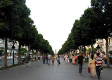 首都突尼斯市旧城麦地纳大道