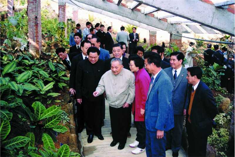 邓小平参观深圳仙湖植物园（1992年）