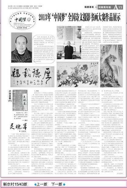 河南青年报刊登刘洋的书法作品